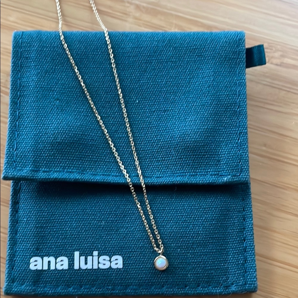 Dainty Ana Luisa Gold Necklace with Pendant